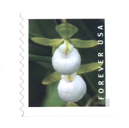 100 White Flower Forever Stamps Unused Green and White Botanical Flowers Forever Postage Stamps For Mailing Wedding Invitations Cards